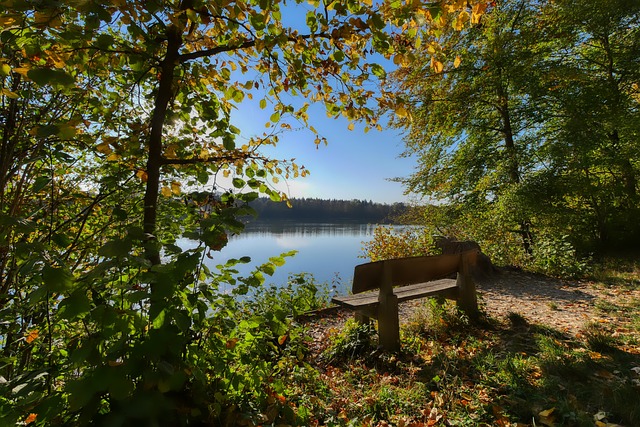澳门特区一 澳门特区一