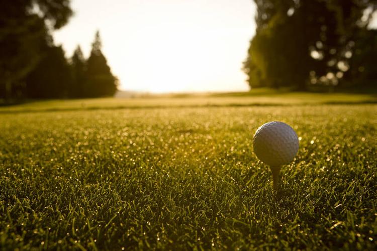 球迷带来一 球迷带来一