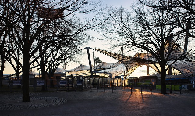 捧起冠军奖 捧起冠军奖